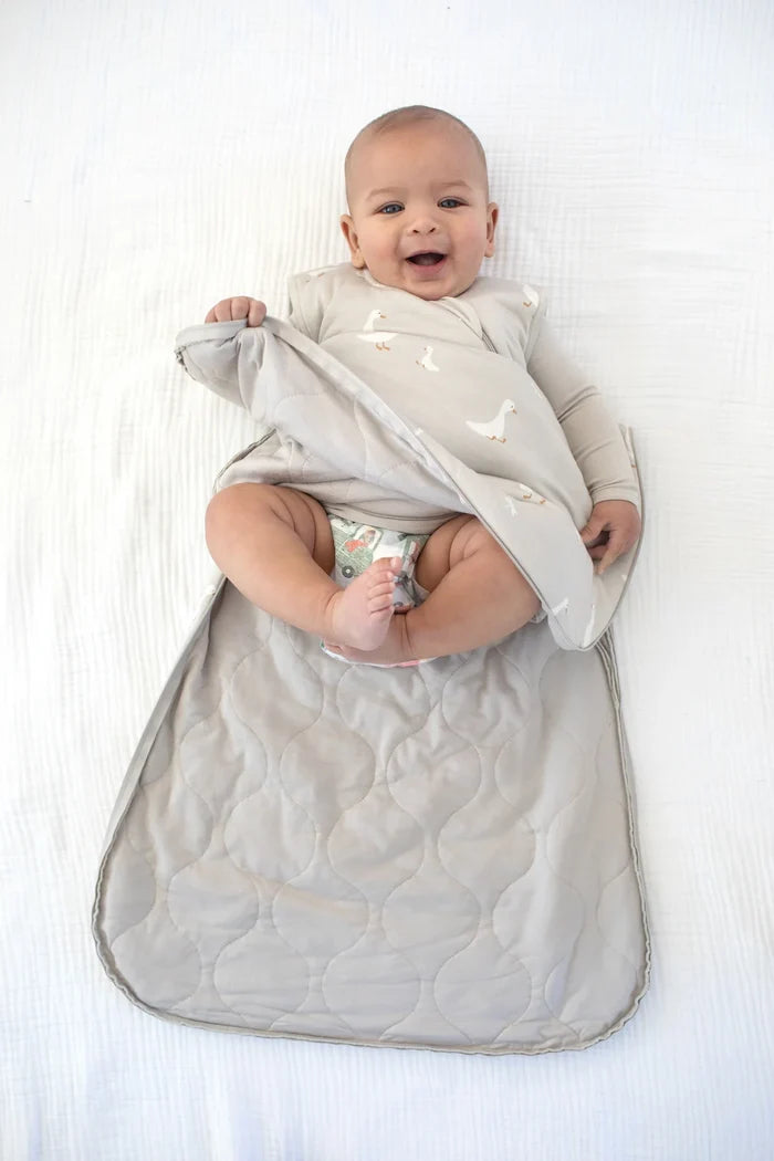 Goose Sleep Bag 1.0