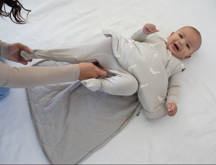 Goose Sleep Bag 1.0