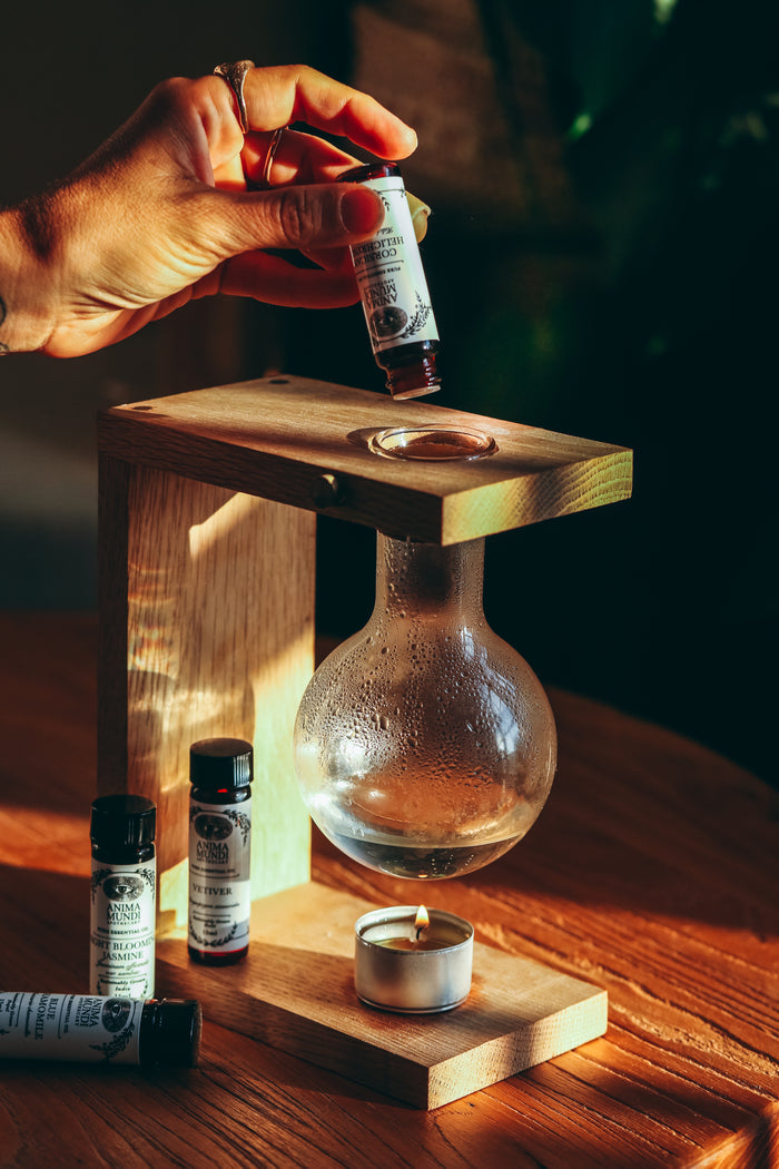 HELICHRYSUM Essential Oil | Sustainably Cultivated, Corsican
