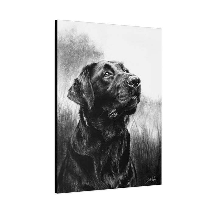 "Labrador Retriever" Stretched Canvas