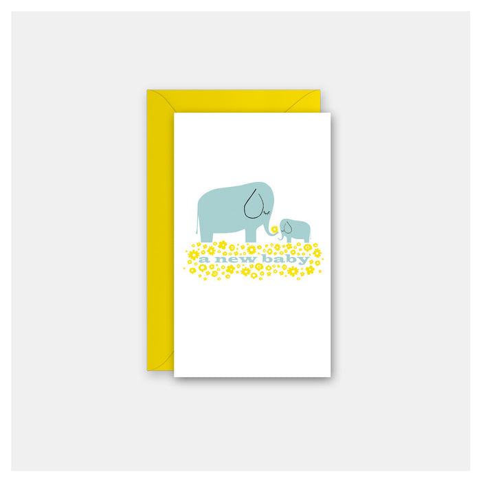 Baby Elephant