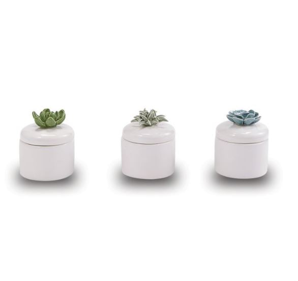 Mud Pie Succulent Citronella Candle