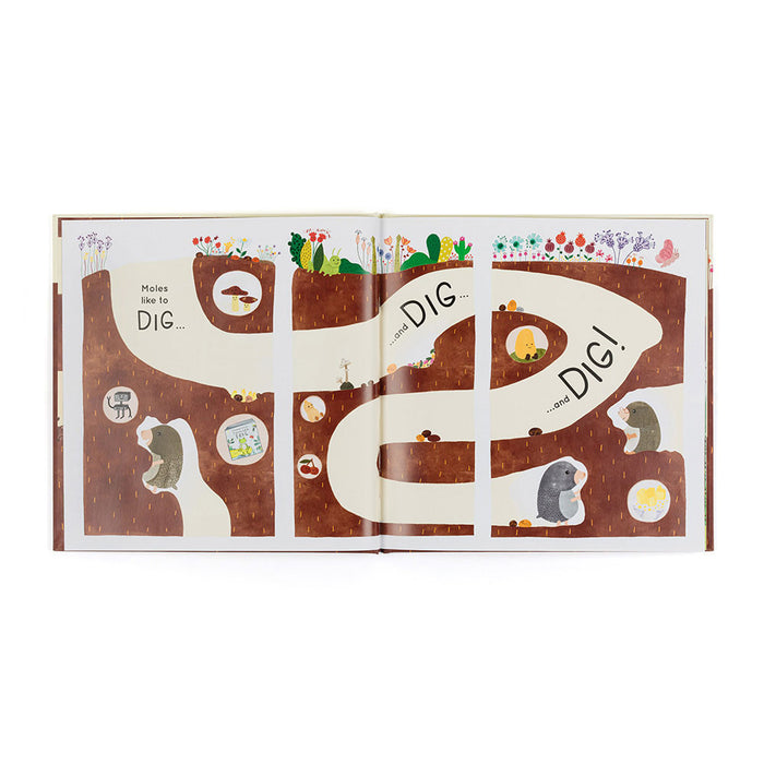 Muswell More and the Buried Treasure Book