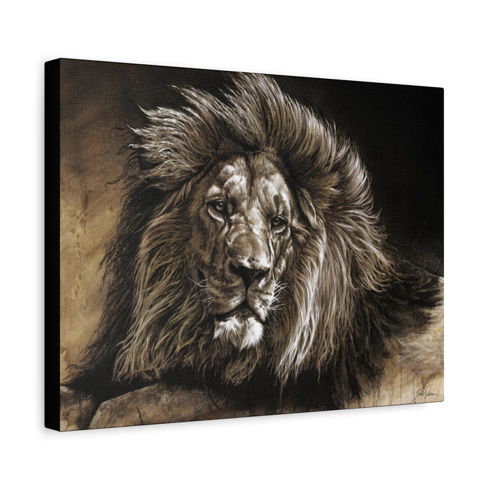 "No Worries" Stretched Canvas