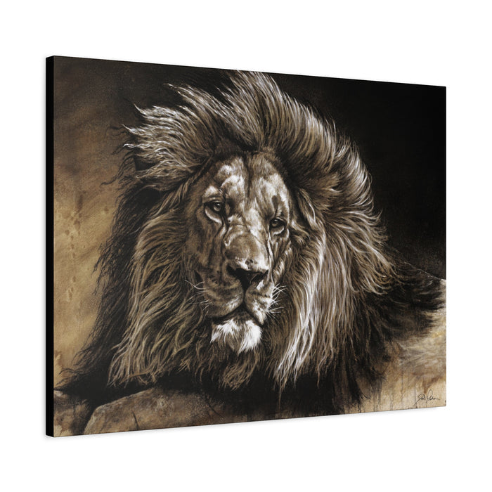 "No Worries" Stretched Canvas