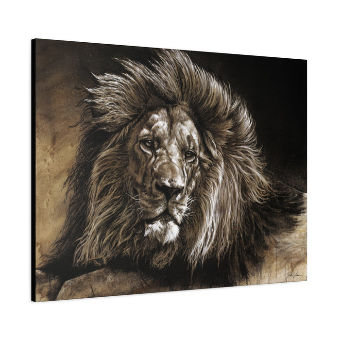"No Worries" Stretched Canvas