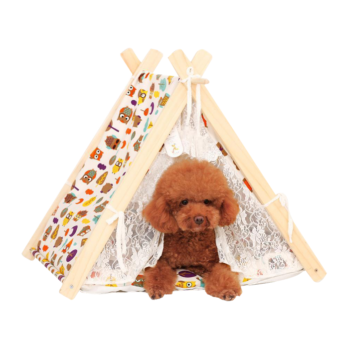Owl Dog Tent