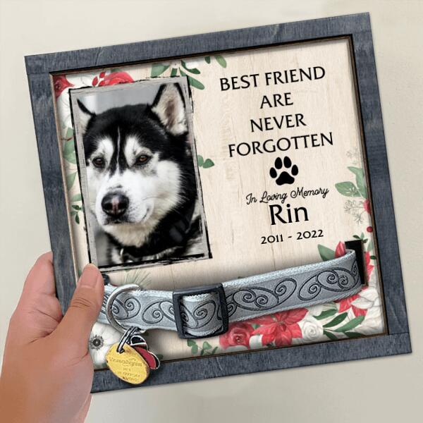 Pet Memorial, Personalized Dog & Cat Memorial Photo Collar Sign, Loss Of Pet Gifts, Best Friend Are Never Forgotten