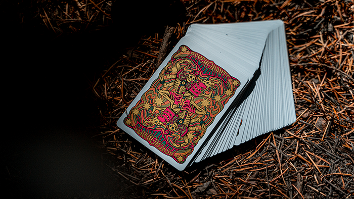 PlayingCardDecks.com-Psychonauts Playing Cards USPCC