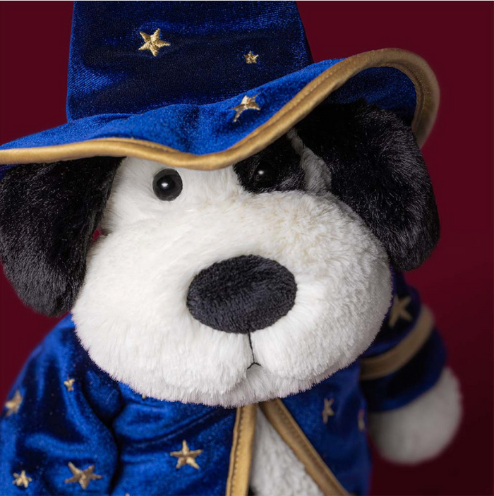 Rufferty Puppy Wizard Outfit