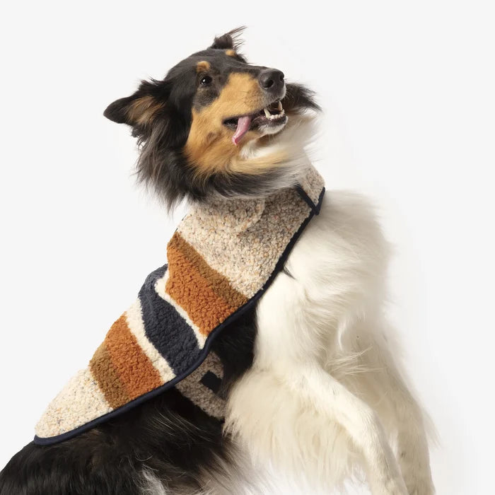 shinola-dog-coat-berber-oaatmeal