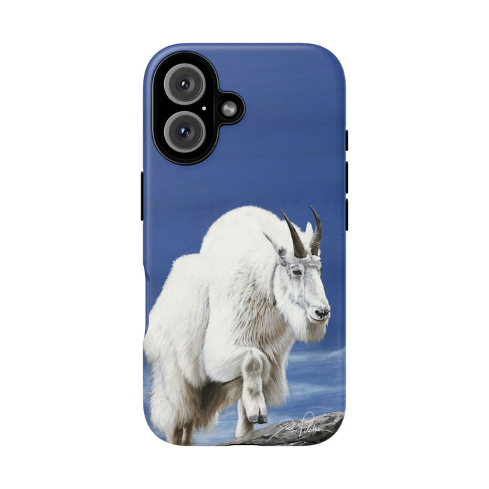 iPhone 16 / Matte