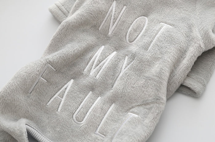 Teddy Hoodie