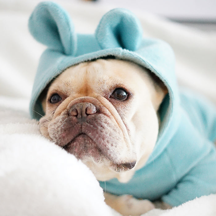 Teddy Hoodie