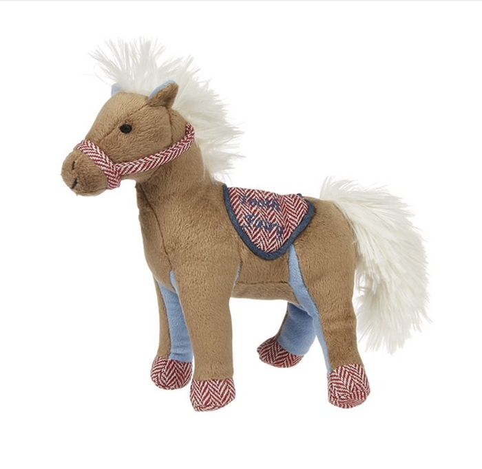 Carson the Colt