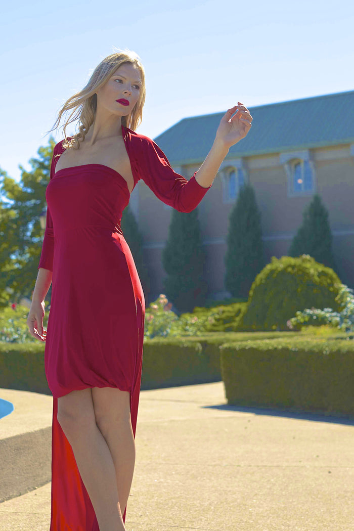 Diane Kroe Convertible Holiday Maxi Dress with a sleeve sash