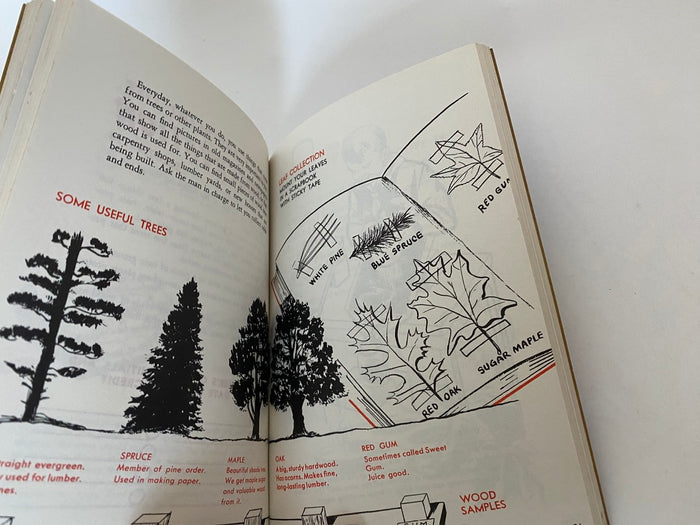 Vintage 1954 Wolf Cub Scout Book at Duckwells