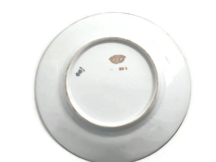 Vintage U.S. Capitol Souvenir Plate at Duckwells