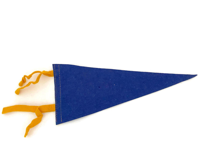 Vintage White Mountains, New Hampshire Pennant at Duckwells