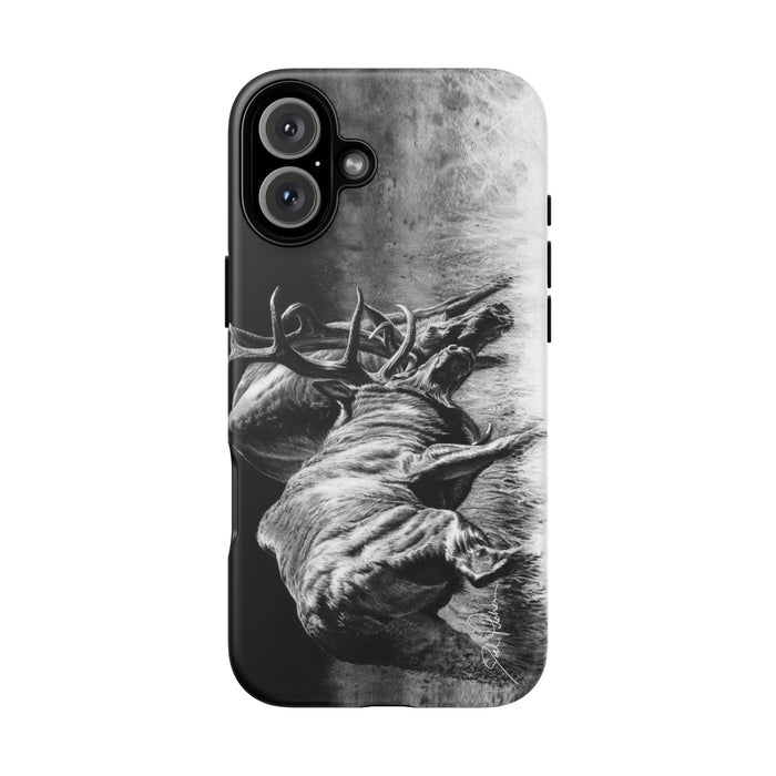 iPhone 16 Plus / Matte