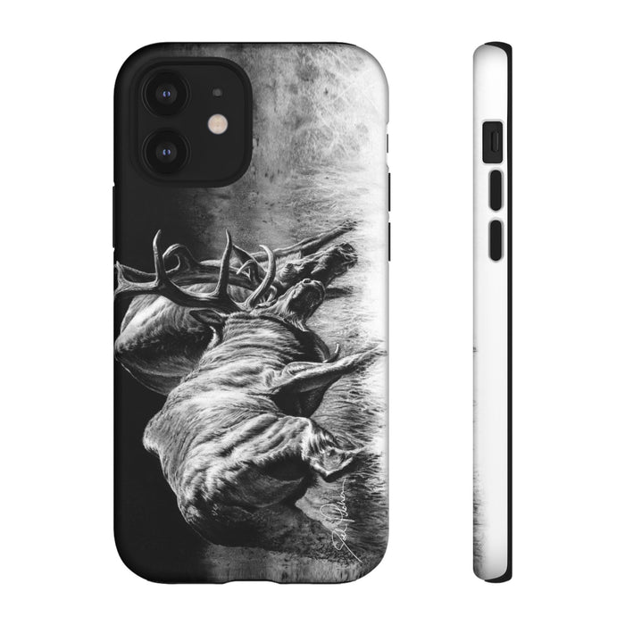iPhone 12 / Matte