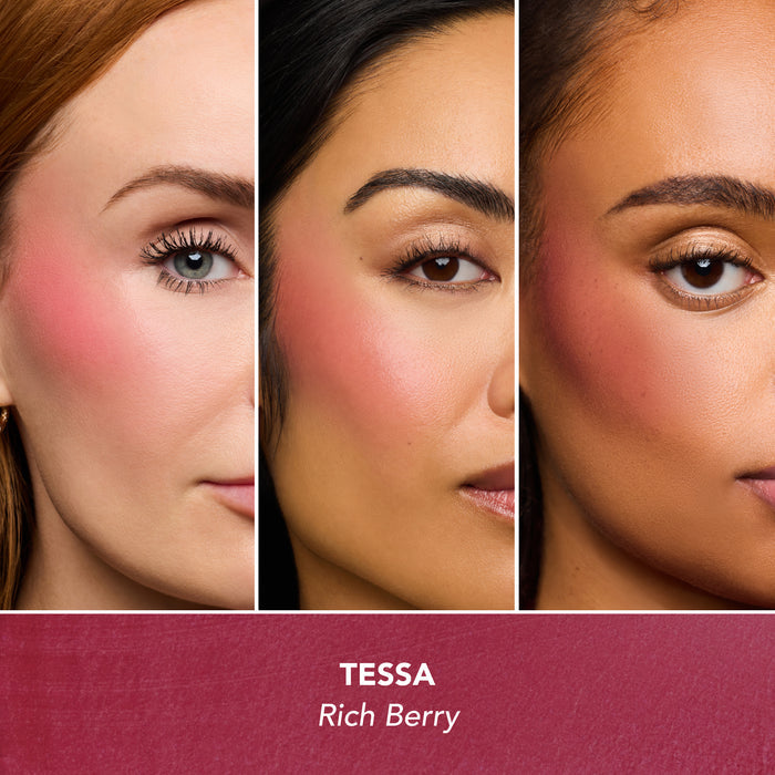 Winter Berries Collection