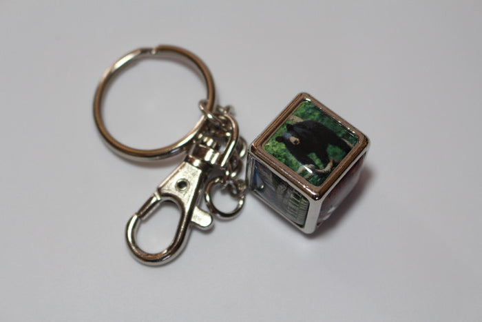 Yosemite Cube Keychain